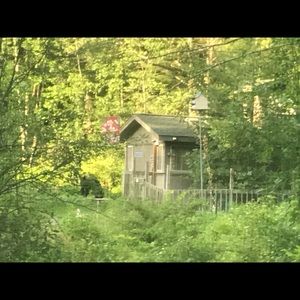 Meet your Posher, Theresa